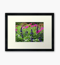 Colourful and Bright Framed Print