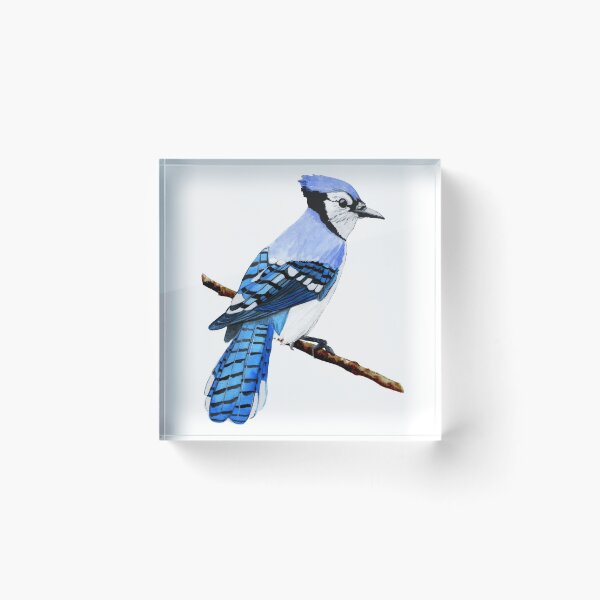 Item preview, Blue Jay designed and sold by MilieAquarelle.