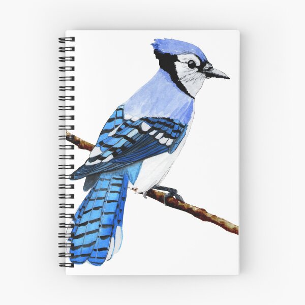 Item preview, Blue Jay designed and sold by MilieAquarelle.