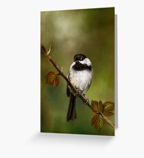 Autumn Chickadee Painting Greeting Card