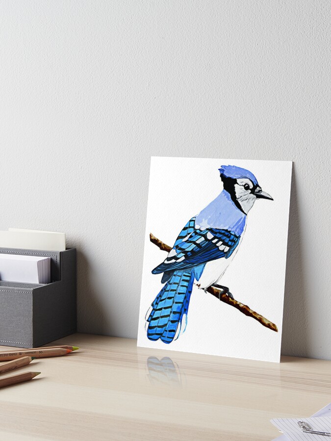 Watercolor illustration. Bright Blue Jay bird on white background