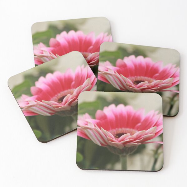 Item preview, Bi Colour Gerbera designed and sold by AnnDixon.