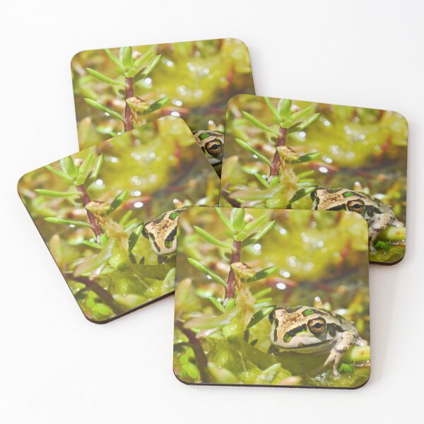 Item preview, A Cute Juvenile Motorbike Frog Frog Frogs In A Pond designed and sold by Jason Gilbert.