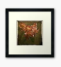 Flora Framed Print