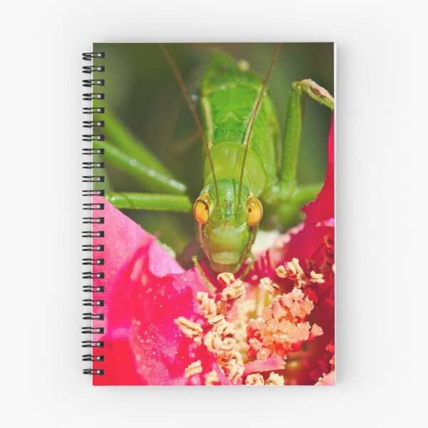 Item preview, A Katydid Eating A Rose designed and sold by Jason Gilbert.