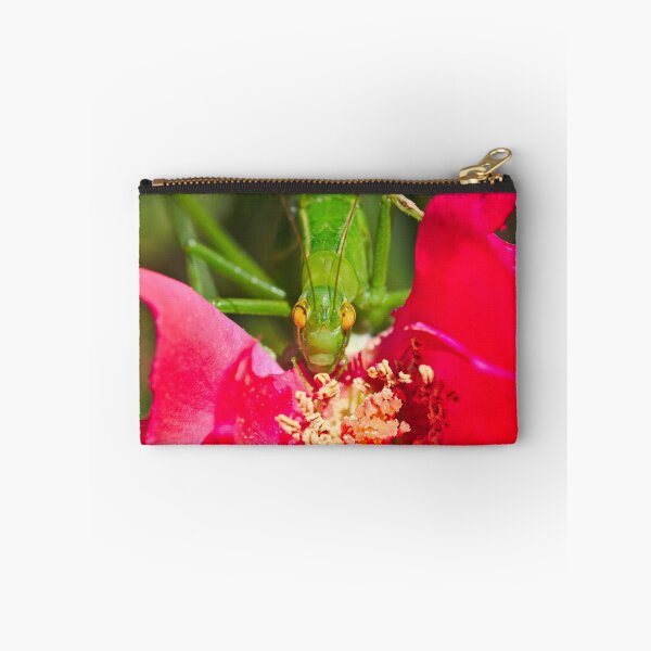 Item preview, A Katydid Eating A Rose designed and sold by Jason Gilbert.