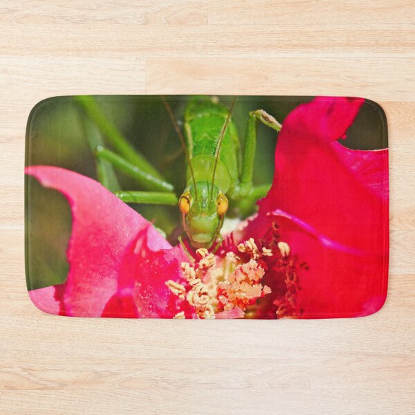 Item preview, A Katydid Eating A Rose designed and sold by Jason Gilbert.