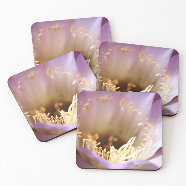 Item preview, Gentle Cacti designed and sold by loiteke.