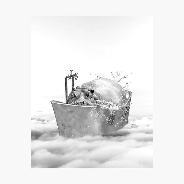 HIPPO BATH Photographic Print