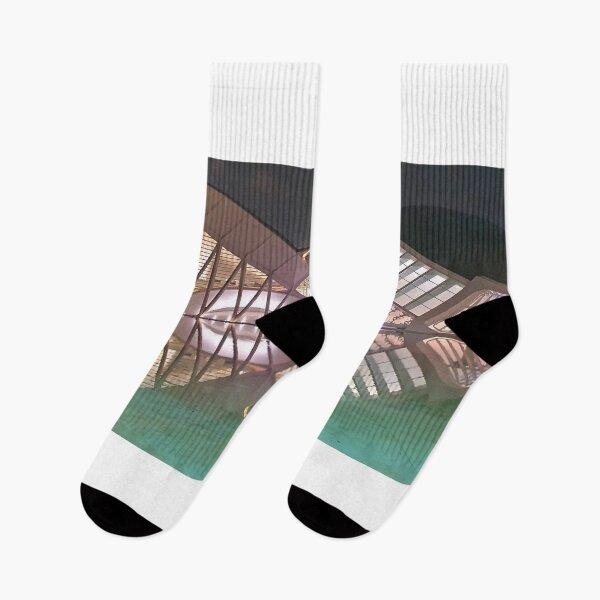 Item preview, City of Arts and Sciences. Valencia. Spain. Santiago Calatrava Architect. designed and sold by Tereza Pilar  Art.