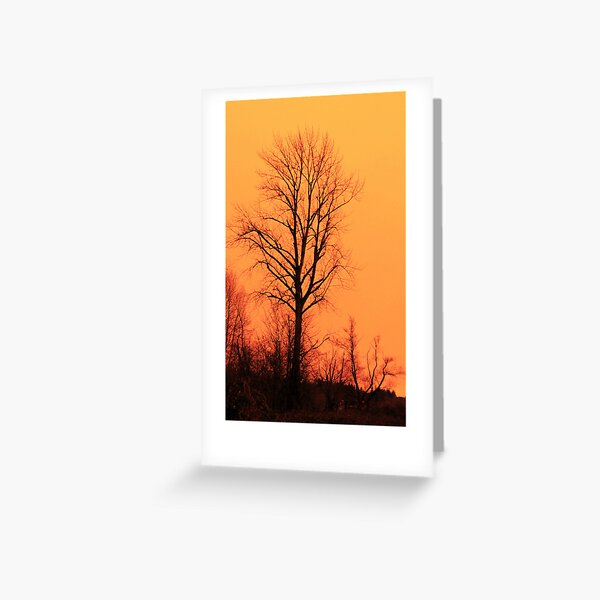 Item preview, Red Tree Orange Sky designed and sold by Steve Walser.