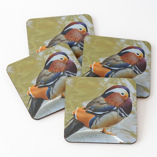 Artikelvorschau, Mandarin Drake entworfen und verkauft von AnnDixon.