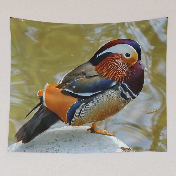 Aperçu de l'œuvre Drake mandarin créée et vendue par AnnDixon.