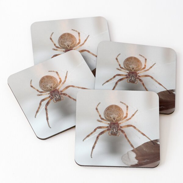 Item preview, Spider on my Garage designed and sold by Susie Kramer.