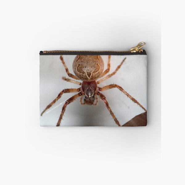 Item preview, Spider on my Garage designed and sold by Susie Kramer.