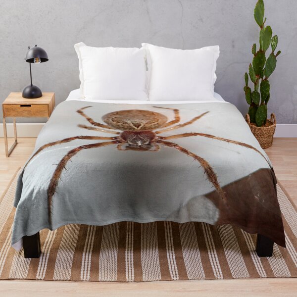 Item preview, Spider on my Garage designed and sold by Susie Kramer.