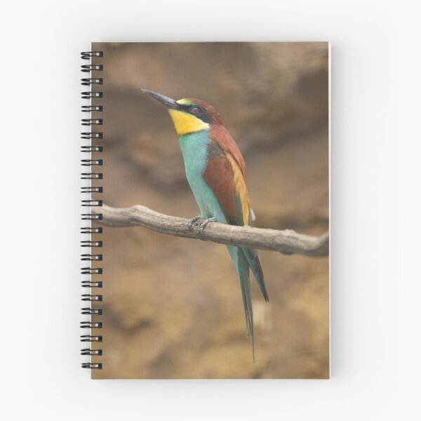 Item preview, Merops apiaster designed and sold by Mythos57.