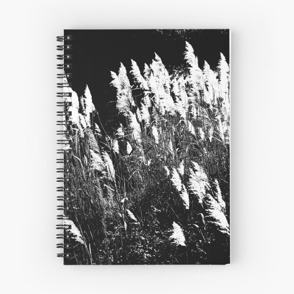 Item preview, Reeds. designed and sold by Paul Pasco.