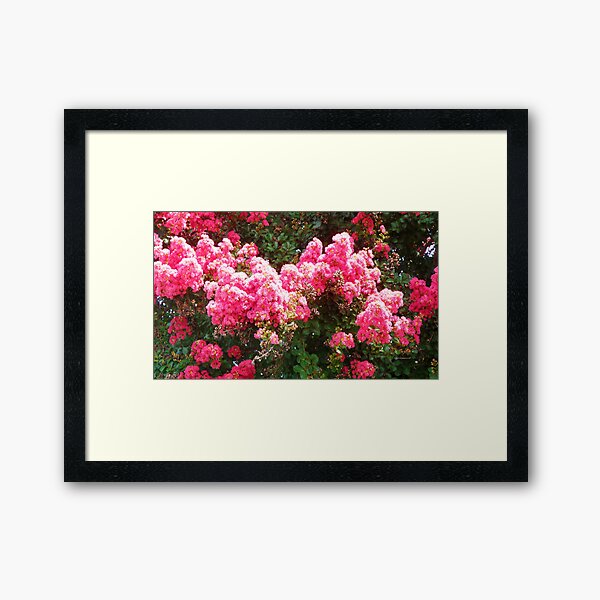 Item preview, Crepe Myrtle designed and sold by Carolyn Ricks.