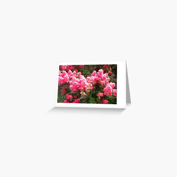 Vista previa del artículo con la obra «Crepe Myrtle», diseñado y vendido por Carolyn Ricks.