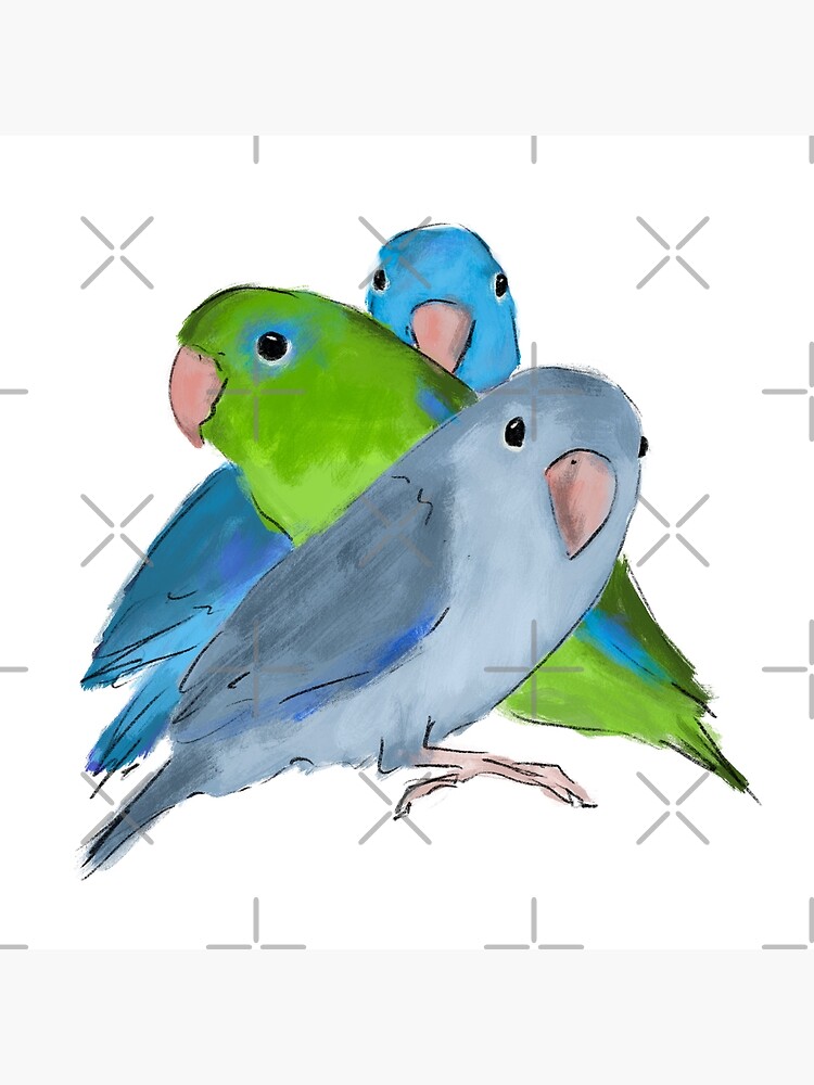 Pacific parrotlet Art Board Print