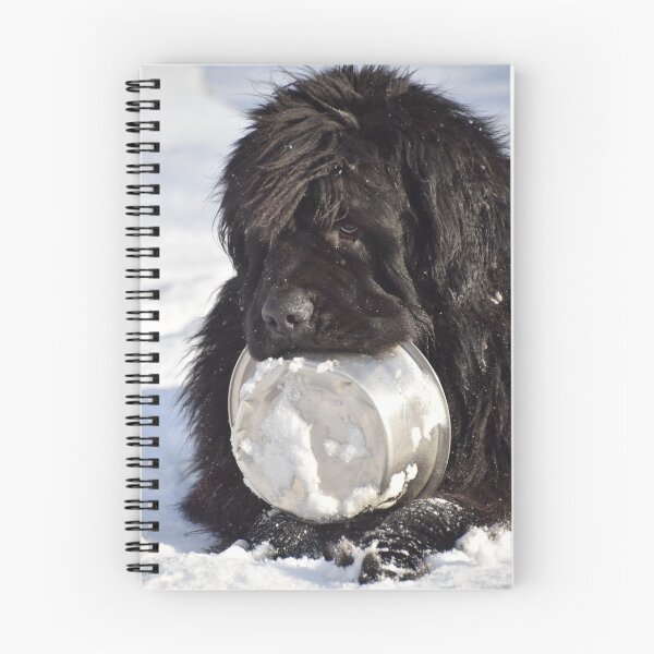 Item preview, Hungry Newfoundland dog 1 designed and sold by LM-SDC.