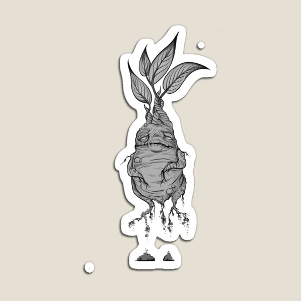 Mandrake Magnet
