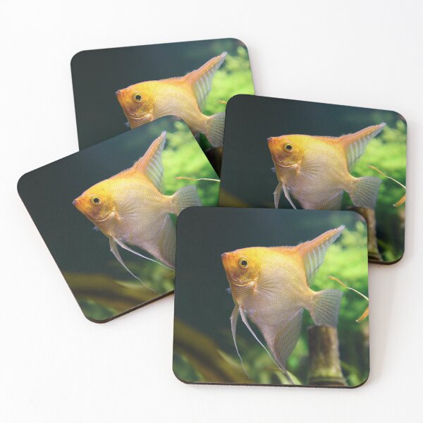 Item preview, Pterophyllum Scalare yellow fish underwater in nature designed and sold by Grégory DUBUS.