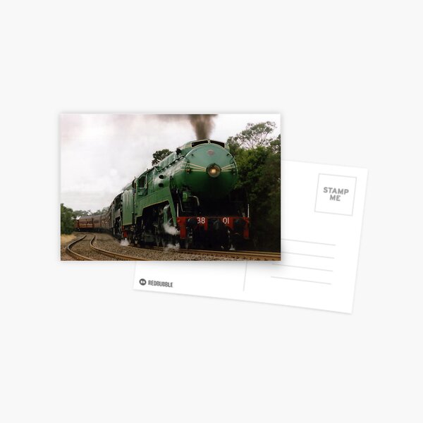 Aperçu de l'œuvre  cette locomotive simplifiée a été conçue pour transporter des trains express tels que le Newcastle Flyer et Melbourne Limited pour les chemins de fer du gouvernement de la Nouvelle-Galles du Sud (NSWGR). Le train a été restauré dans les années 80. Le 380 créée et vendue par bluegumbill.