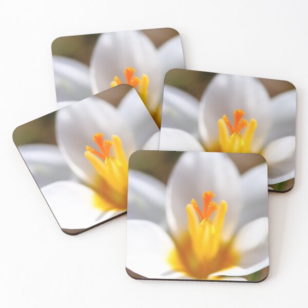 Item preview, Crocus stamen in selective focus designed and sold by Grégory DUBUS.
