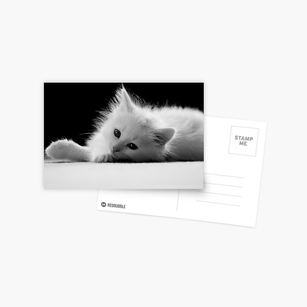 White cat on white snow Original watercolor postcard Pet Illustration greeting card White kitten portrait Running white cat winter evening