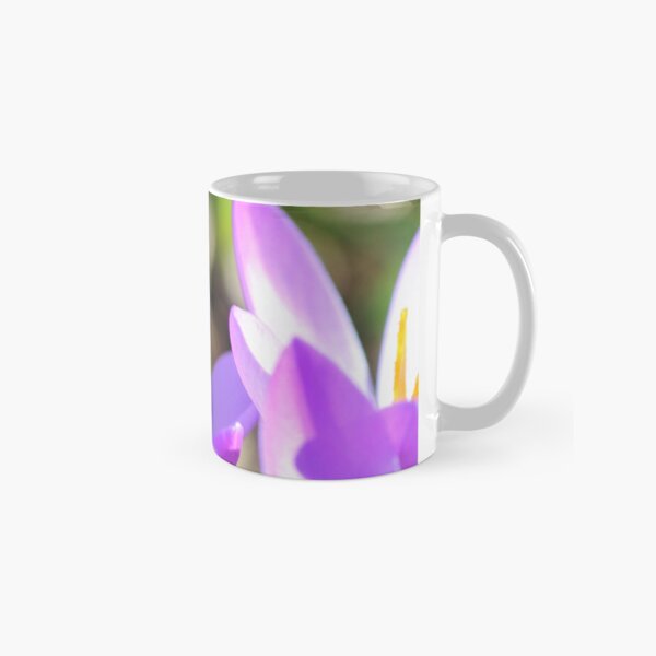 Abeille volant sur la pollinisation du parterre de fleurs Crocus au printemps Mug classique
