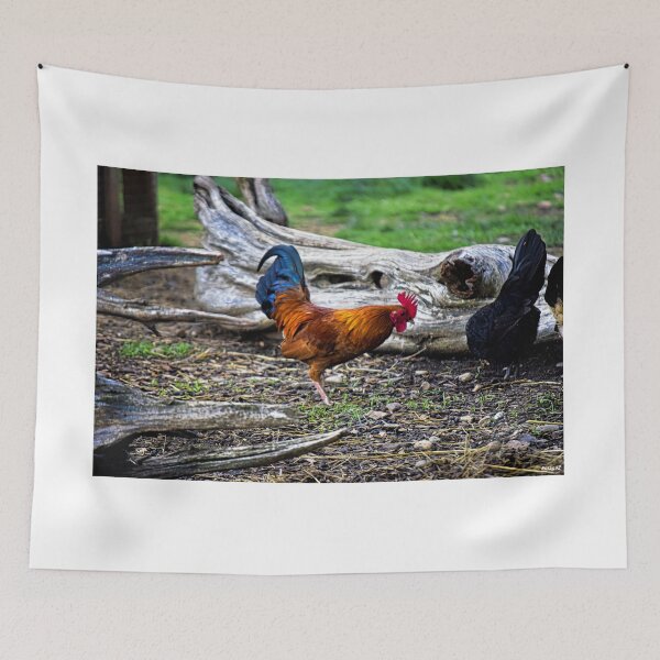 Item preview, What Did You Find, Fred ? designed and sold by EmageZ.