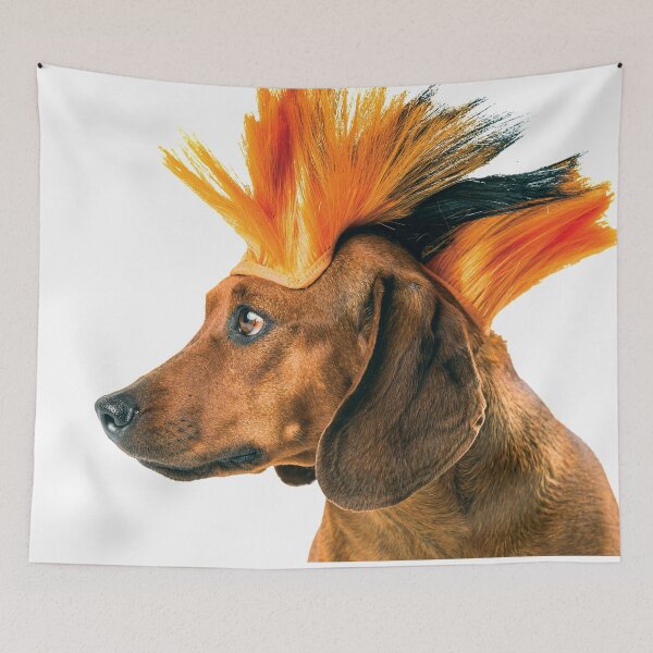 Item preview, Punk Rock Mohawk Dachshund Dog Transparent Background designed and sold by srgreen.