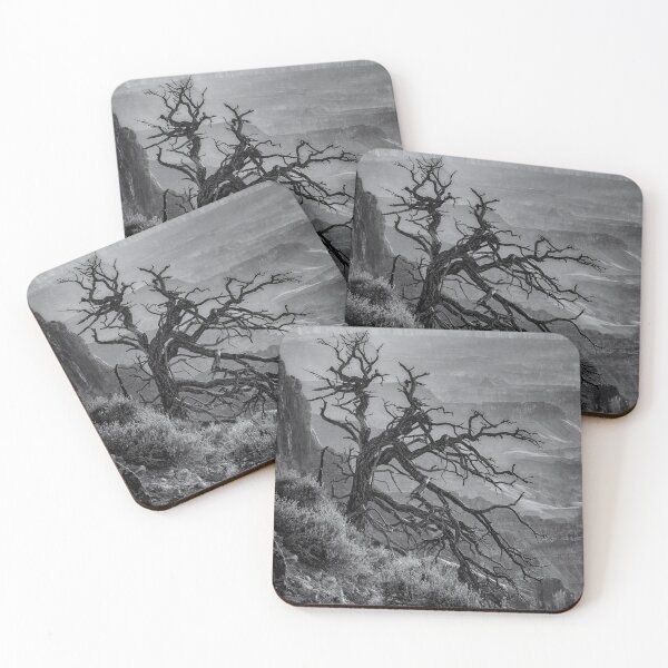 Item preview, Tree at Lipan Overlook Grand Canyon B&W designed and sold by Gerard Fornarotto.