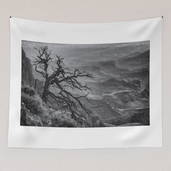 Item preview, Tree at Lipan Overlook Grand Canyon B&W designed and sold by Gerard Fornarotto.