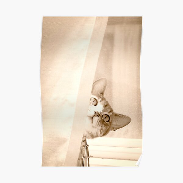 Geisha Poster