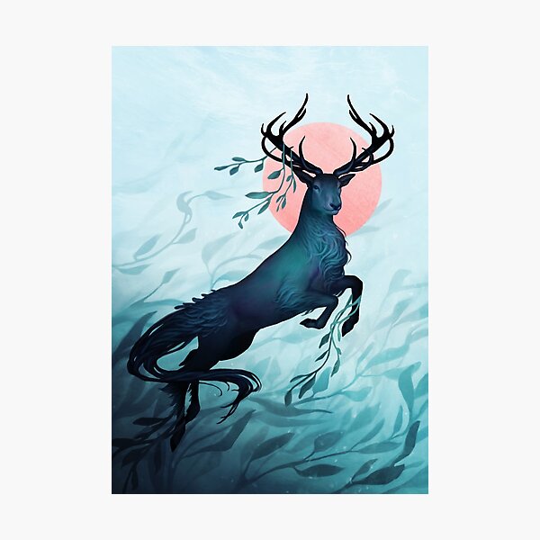 Kelpie Stag Photographic Print