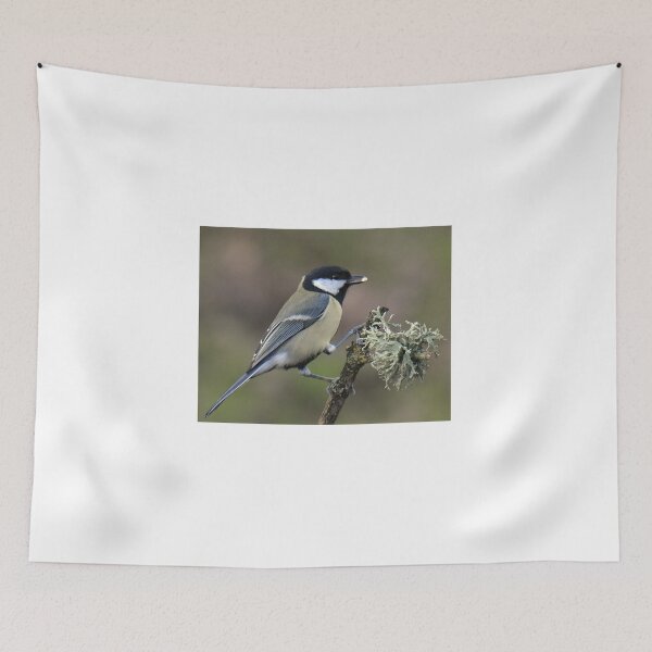 Item preview, Great Tit perching with lichen designed and sold by Holmewood.
