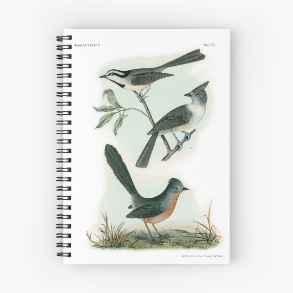 Item preview, Old World Bird Flycatcher Wall Art 1840 designed and sold by simpson92.