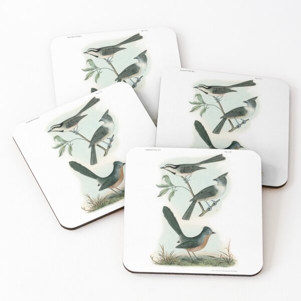 Item preview, Old World Bird Flycatcher Wall Art 1840 designed and sold by simpson92.
