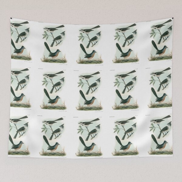 Item preview, Old World Bird Flycatcher Wall Art 1840 designed and sold by simpson92.