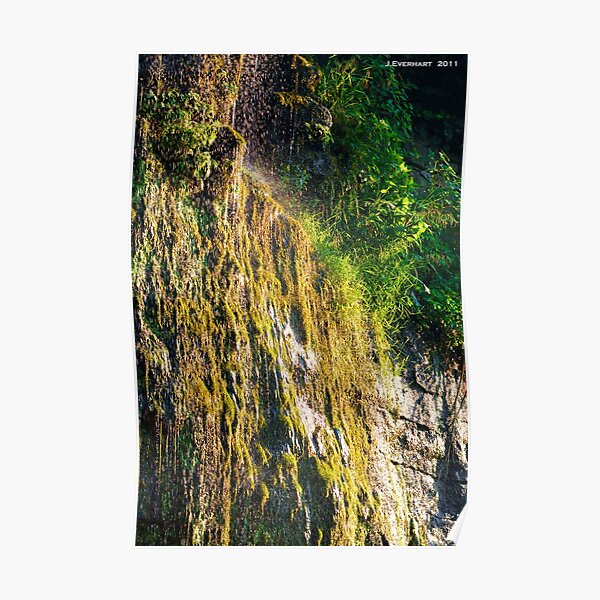Backwoods Kentucky Waterfall Poster