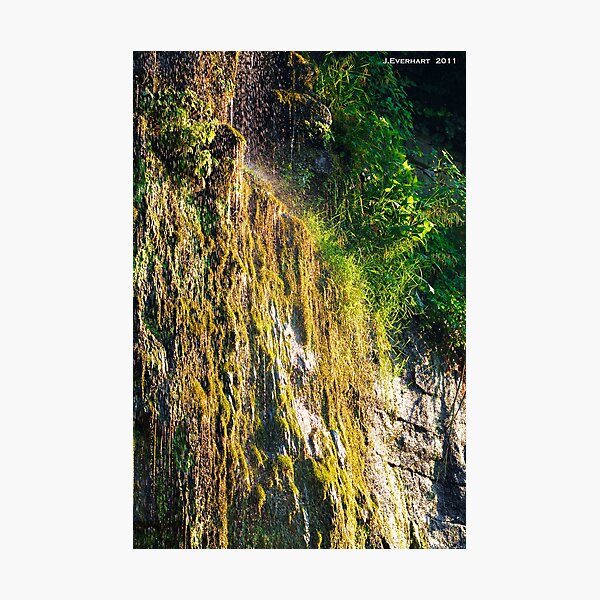 Backwoods Kentucky Waterfall Photographic Print