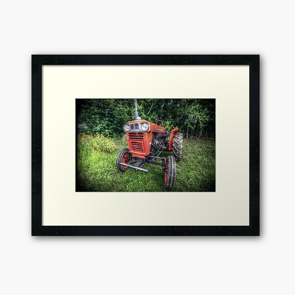 KUBOTA Framed Art Print