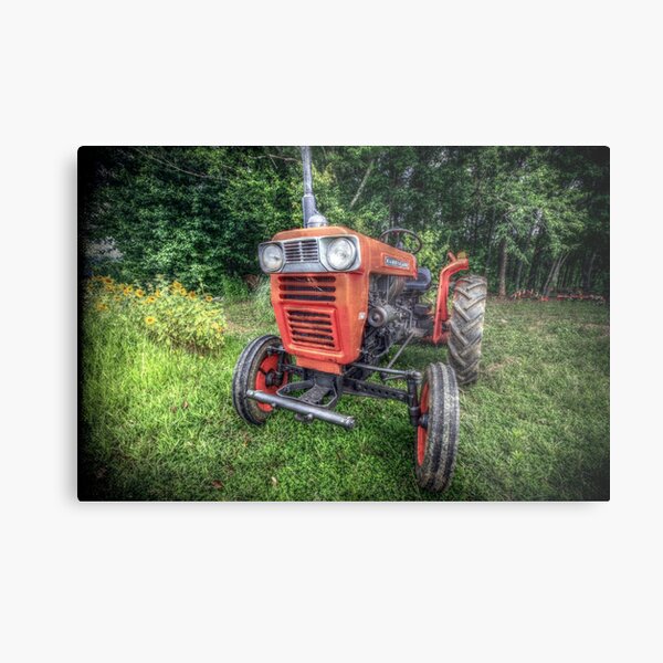KUBOTA Metal Print