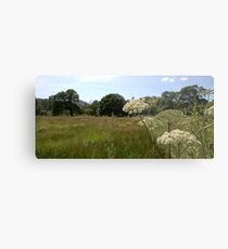 In the Big Meadow Metal Print