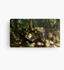 Illuminated Metal Print