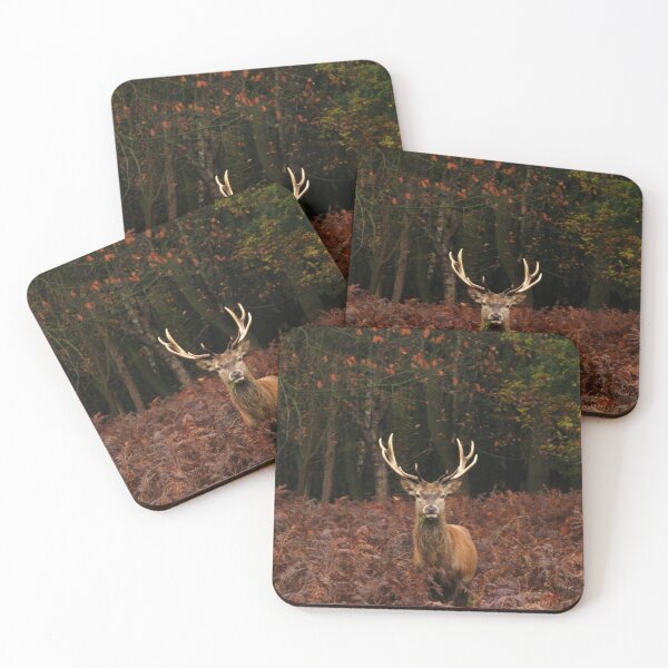 Wilderness Coasters for Sale