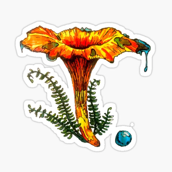 Item preview, Cantharellus designed and sold by jmishroom.